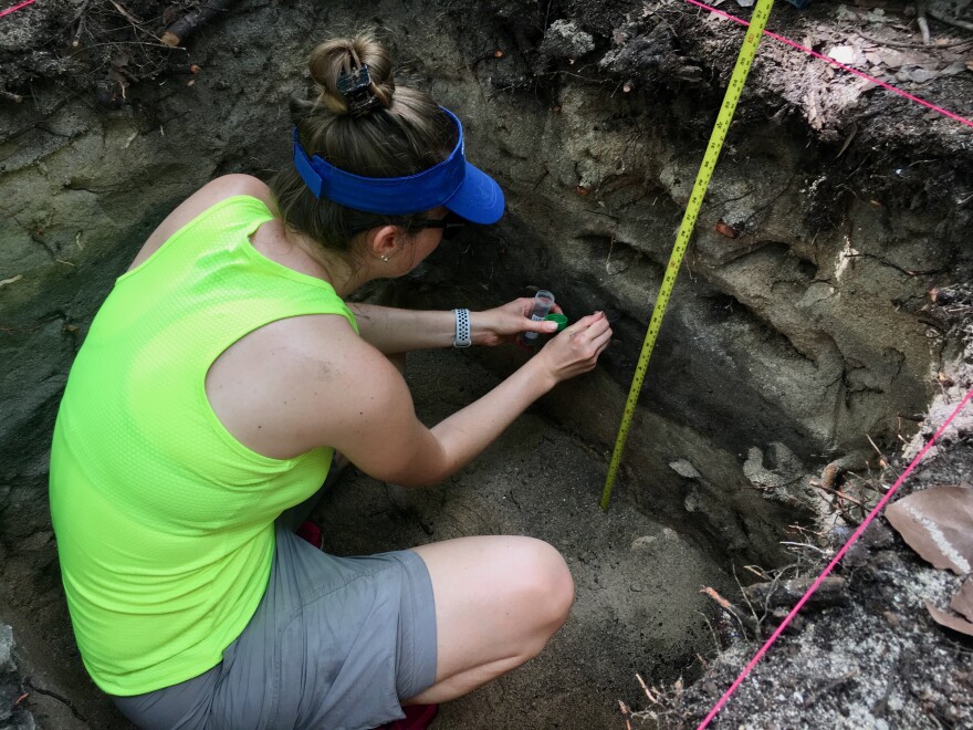  Alanna Lecher is collecting samples from a shell midden excavation at South Inlet Park in Boca Raton. 