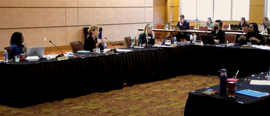 Asheville City Council meeting where members are gathered around a U-shaped table.