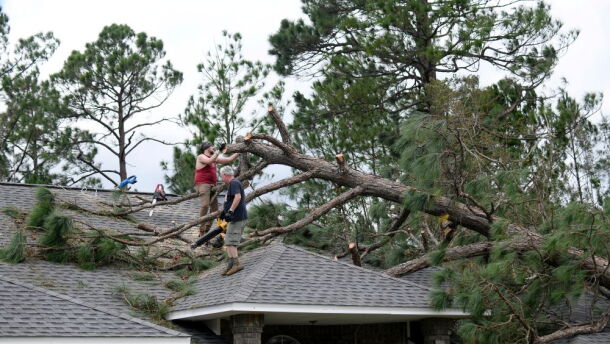 Men on a roof work to clean up pine tree that fell on a house