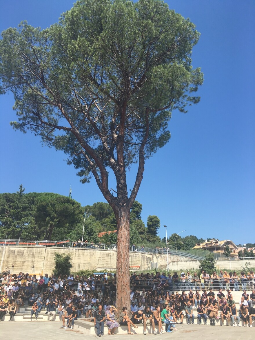 Mourners gather under an olive tree during the state funeral in Ascoli Piceno.