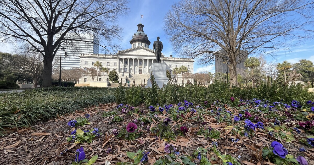 The State House Gavel: What SC's budget forecast may tell lawmakers, Senate tax debate stretches on