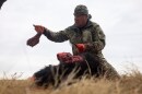 Buffalo manager Robert Magnan cuts out a bison's tongue while field dressing it at the Fort Peck Assiniboine & Sioux Tribes Buffalo Ranch near Wolf Point, Mont., Nov. 10, 2025.