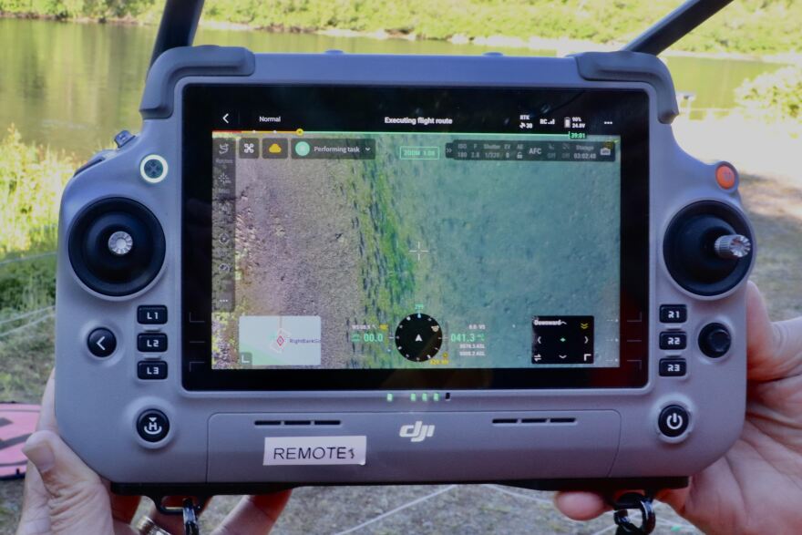 Aerial drone imagery of returning sockeye in the Wood River.