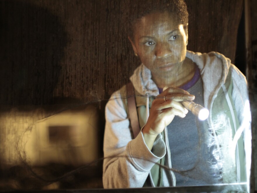 The relationship between Bernice (LisaGay Hamilton, above) and her parolee and former friend, Fontayne (Yolonda Ross), is overshadowed by the movie's criminal storyline.