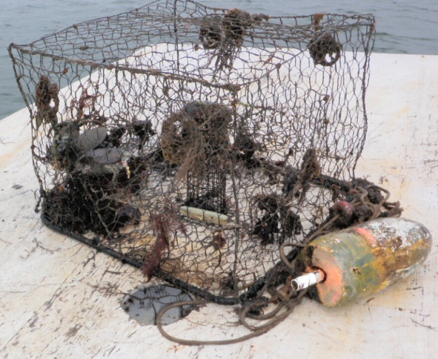 Crab Trap