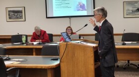 State Health and Human Services Director Pat Traynor testifies before the Task Force on Government Efficiency
