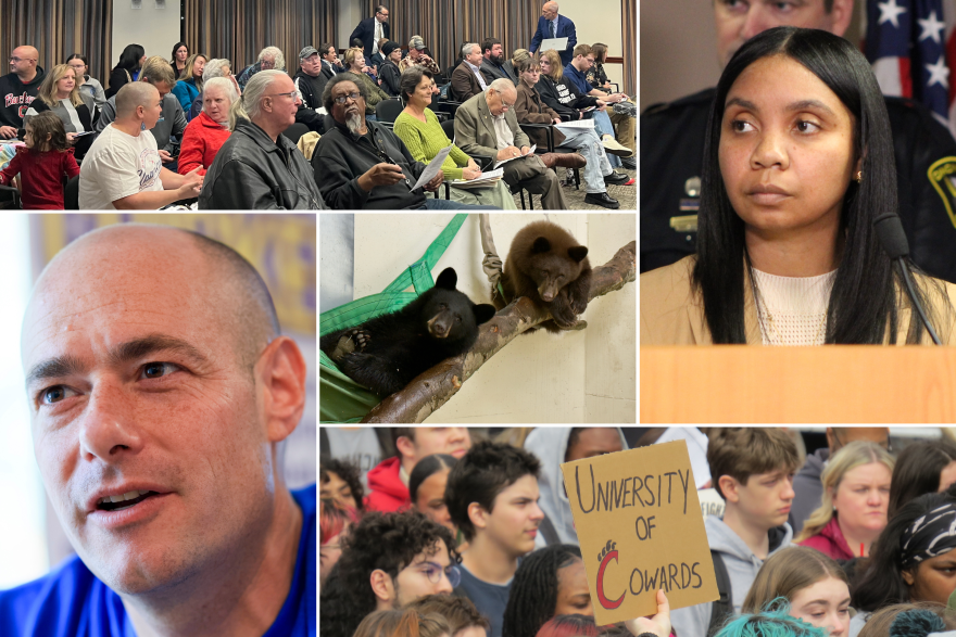 Clockwise from top left: Attendees at a public hearing on a proposed data center in Hamilton; City Manager Sheryl Long; protestors at the University of Cincinnati; Congressman Greg Landsman; and black bear cubs at the Cincinnati Zoo.