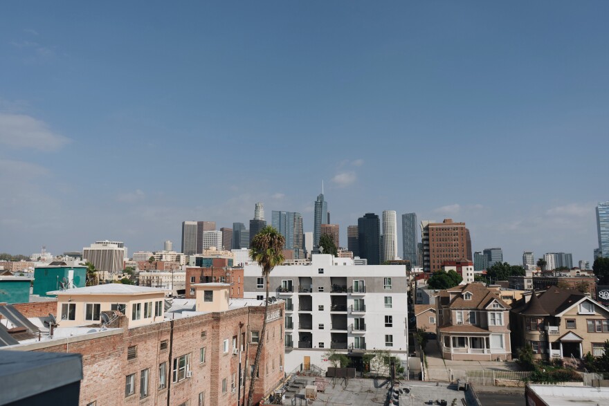 In just over two years, L.A.'s pilot prevention program has worked with 560 people. Data shows a large majority have stayed housed so far, but the program is conducting a more formal long term study. This is the view of downtown Los Angeles from former client Dulce Volantin's rooftop.