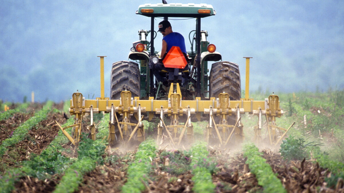 When it comes to chemical fertilizer – less is more, new study says - Vimarsana News