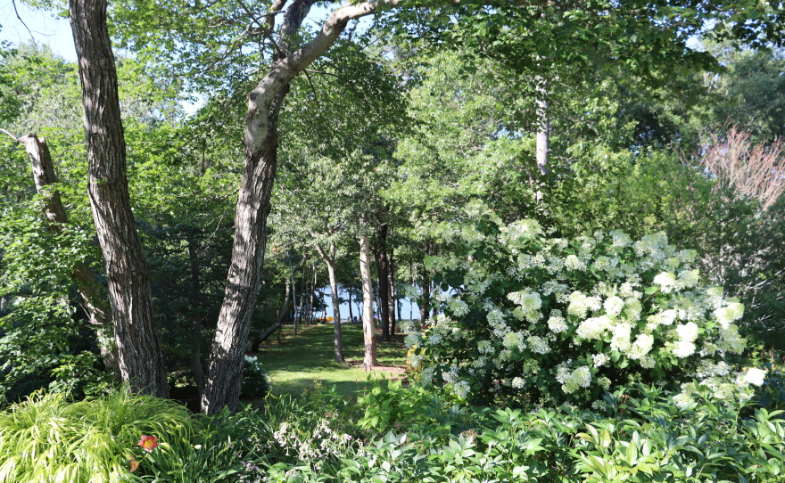 Photos of the home garden of CAI's The Garden Lady, C.L. Fornari 