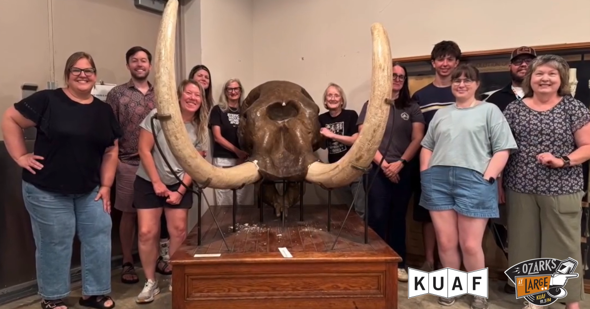 Mastodon skull cast needs a name at UofA Museum open house