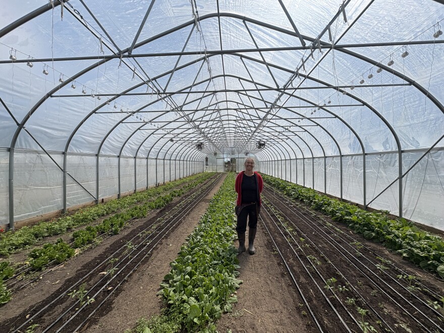 Corinne Hansch has run Lovin' Mama Farm for the past decade, growing the team to around a dozen employees