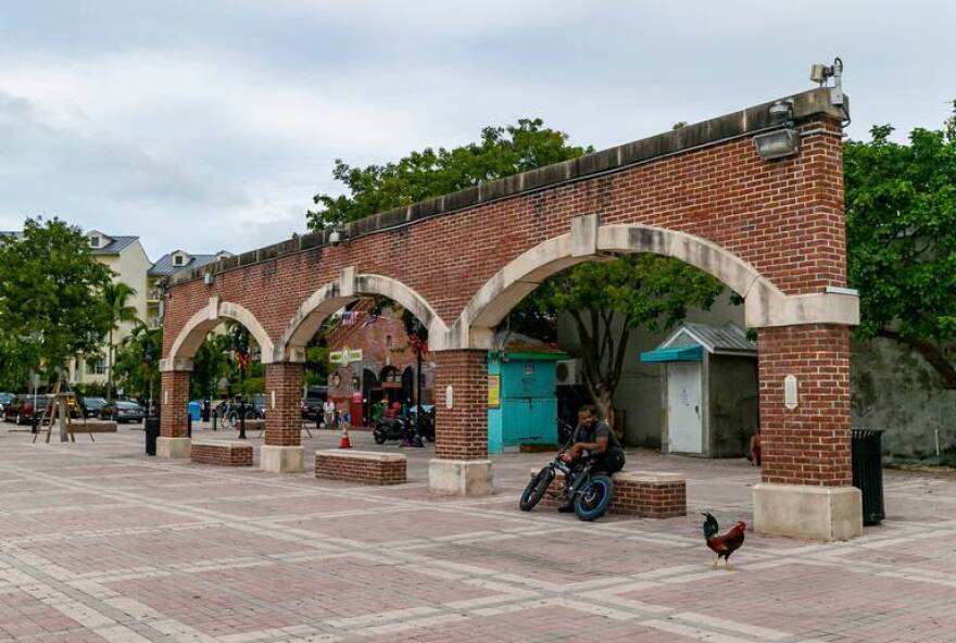 At hot times of the day, Mallory Square gets few visitors. These roosters wandered unbothered in December 2021.