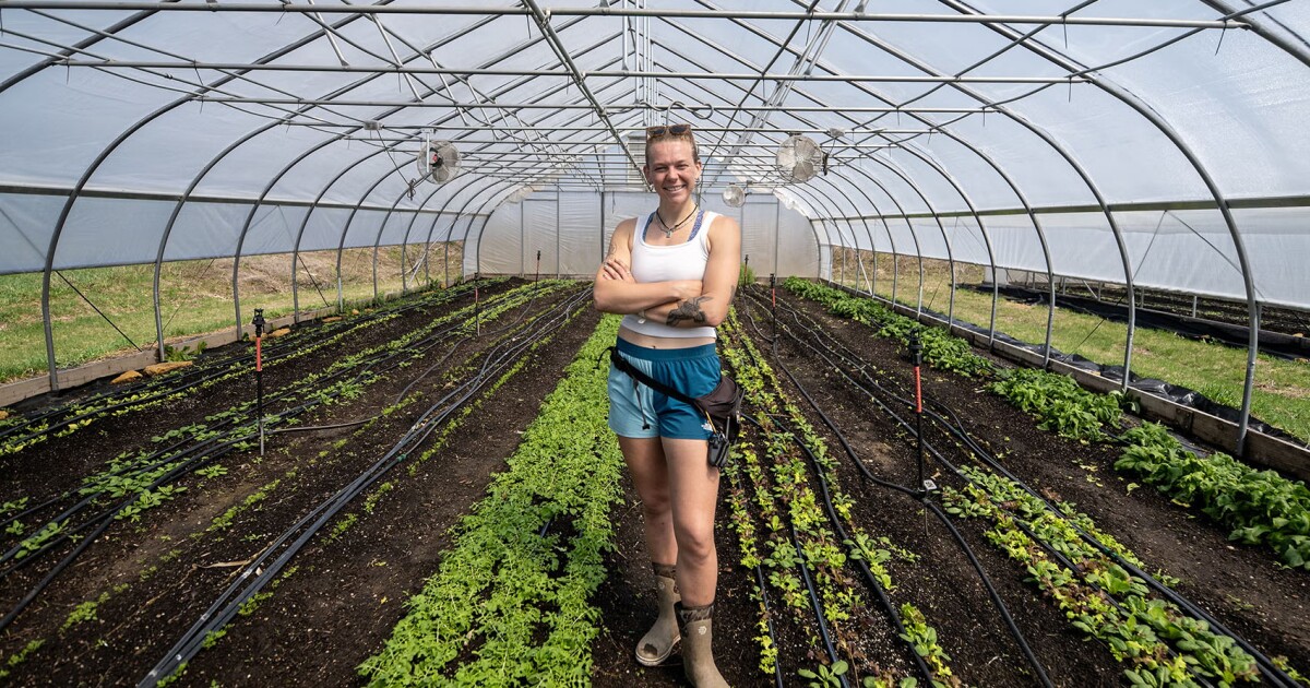 CSA boxes get people buying fresh from farms, but will customer convenience hurt the mission?