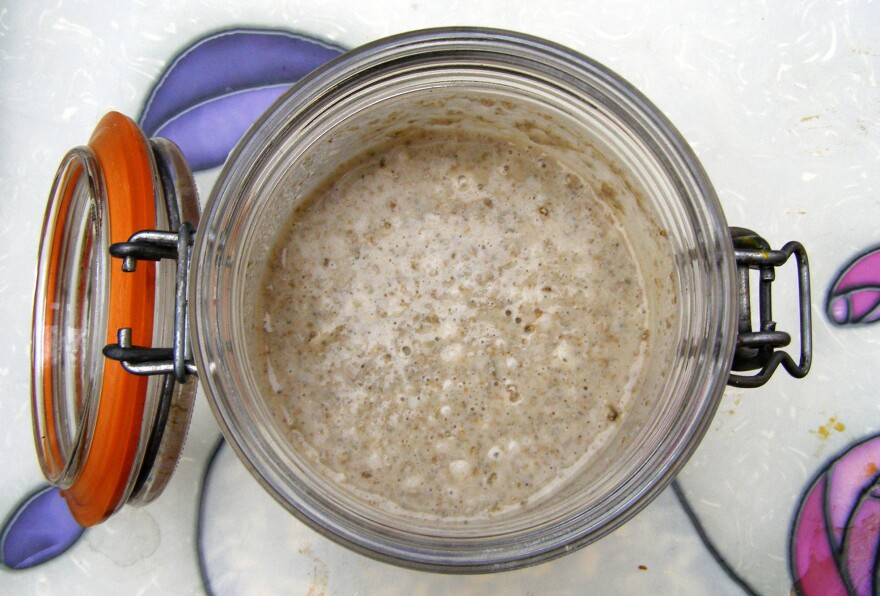 Sourdough starter that is 2 days old.