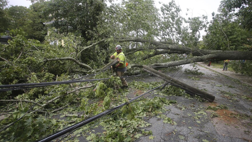 A National Grid crewman removes a snapped electrical pole from Caswell, St. in Narragansett, R.I., on Monday. Strong winds from Tropical Storm Henri downed a large tree that fell on top of the power lines.