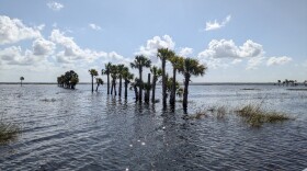 Lake Jesup is among the water bodies in Central Florida considered to be impaired by pollution, according to the Florida Department of Environmental Protection. Here, Lake Jesup is seen with high water levels in October 2024, weeks after Hurricane Milton.