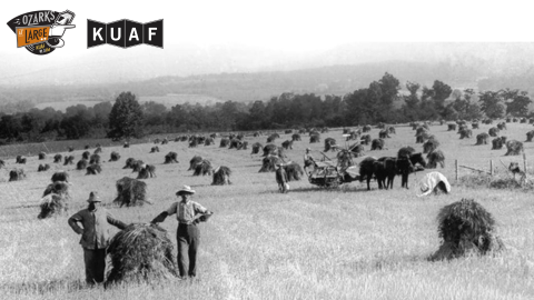 Harvesting wheat, Kingston area (Madison County), early 1920s. Rev. Elmer J. Bouher, photographer. Bouher Family Collection (S-2001-2-94)