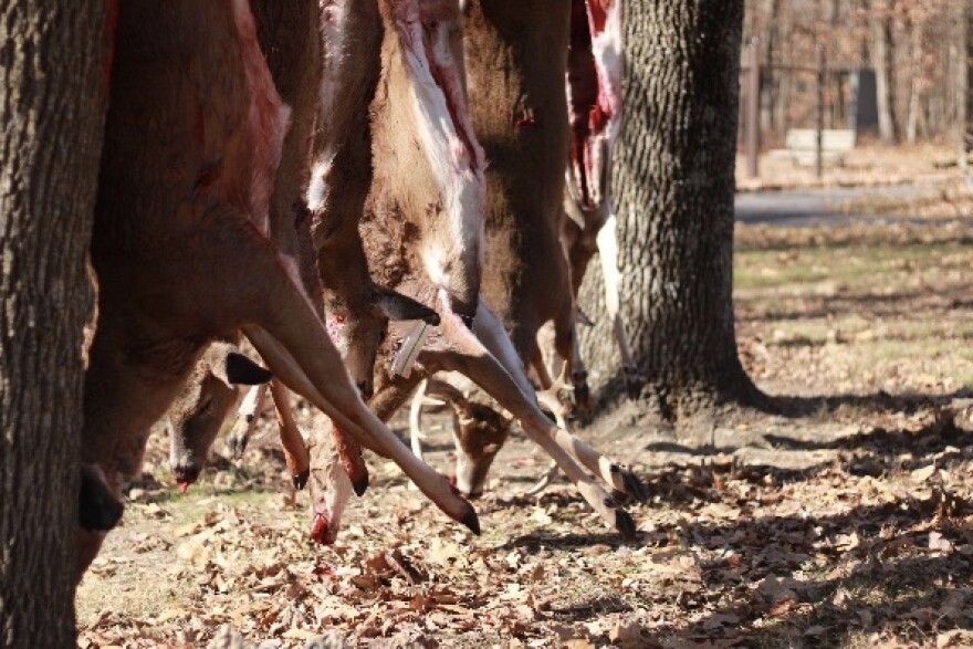 Surplus venison can be donated to Missouri’s Share the Harvest program.