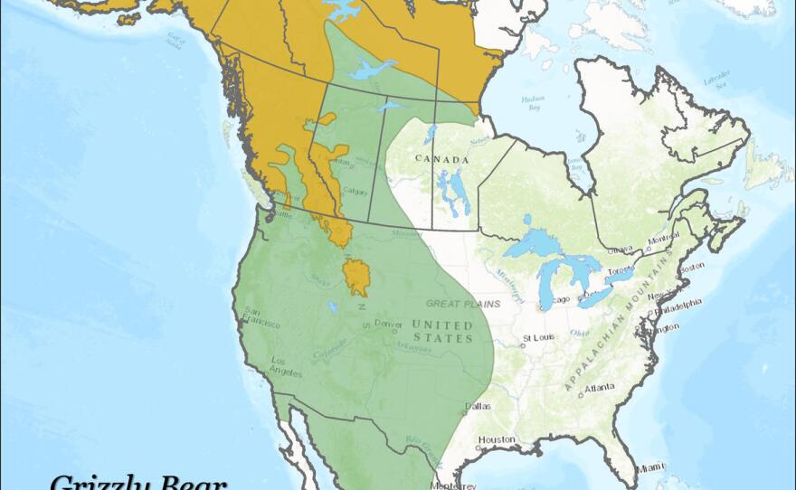 Grizzly bear historic and current range.
