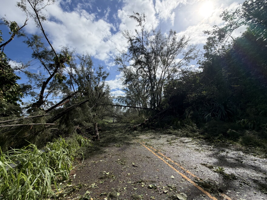 Kūhiō Highway on Sep. 10 after Hurricane Lowell. The road was blocked by fallen trees, debris and rocks that had blown into the street, causing it to be impassable.