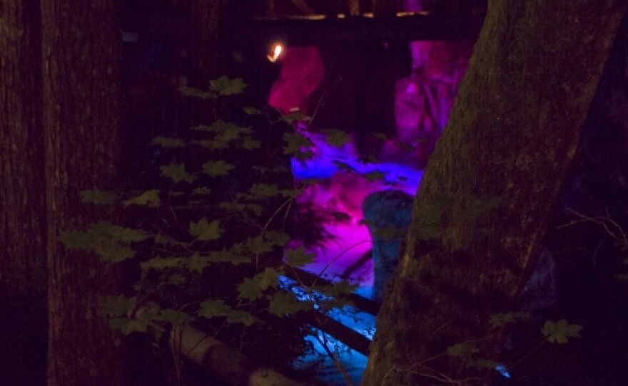 Colors change throughout the 15 minute, repeating program at Ladder Creek Falls