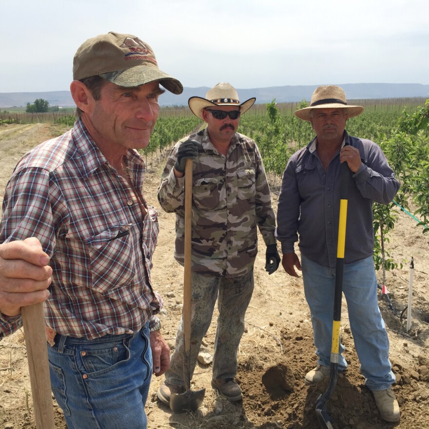 Jim Willard, Juan Manel and Leobardo Magana worked to adjust irrigation systems for the short water year on a farm outside of Prosser, Wash.