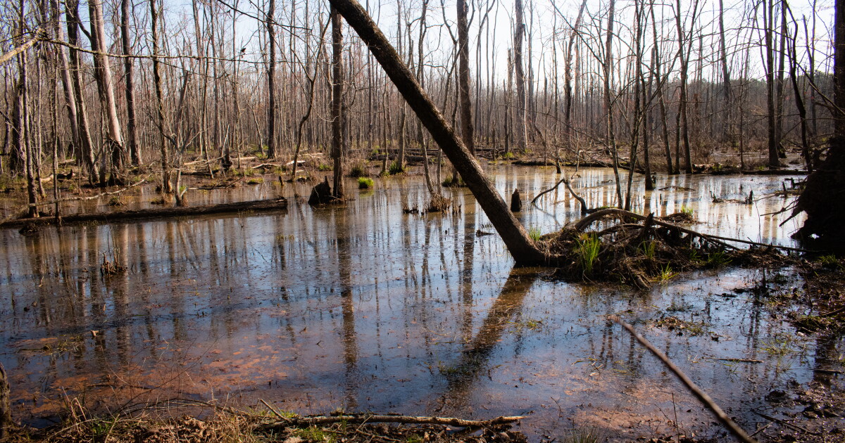 Mecklenburg County buys less parkland as costs rise, budgets fall