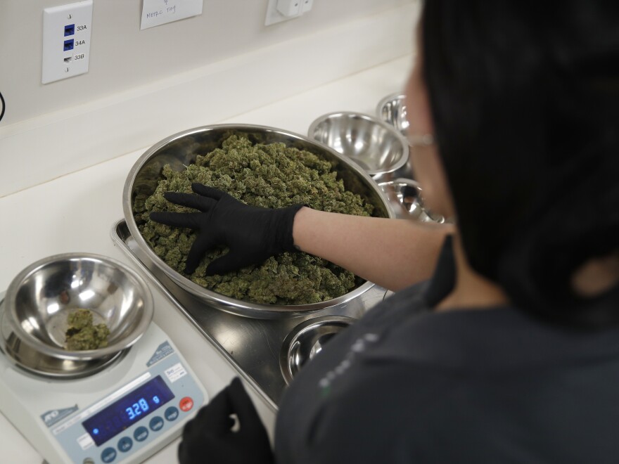 Christine Glenn sorts marijuana at the Blum marijuana dispensary in Las Vegas.