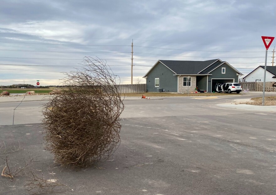 A tumbleweeds rolls through a neighborhood in Garden City, Kansas.