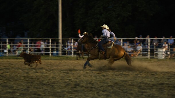 Rachel Brownback competes in the breakaway roping at the Hepler Ruritan Club Rodeo. She's on her horse, chasing after a calf. She's thrown her rope, which is mid air above the calf's head.
