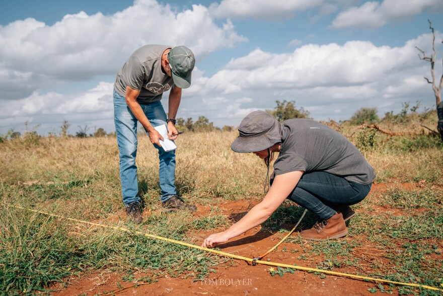 Two researchers are in a field. One is kneeling down next to a yellow measuring string, and one is standing, leaning over and writing on a notepad that they hold against their knee.