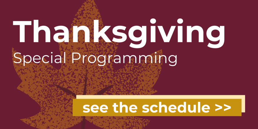 Thanksgiving holiday programming image