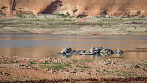 Declining water levels expose a pile of tires at Lake Powell in southern Utah, April 29, 2026. After this winter’s snow drought, the vital Colorado River reservoir is forecast to have its worst spring runoff season on record.