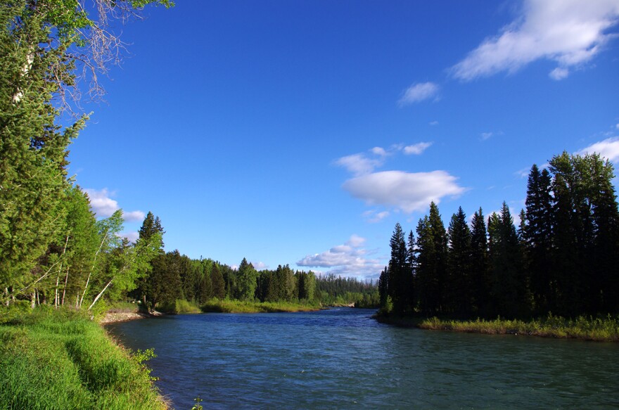 View Of The North Fork of The Flathead River Near Ford Cabin.