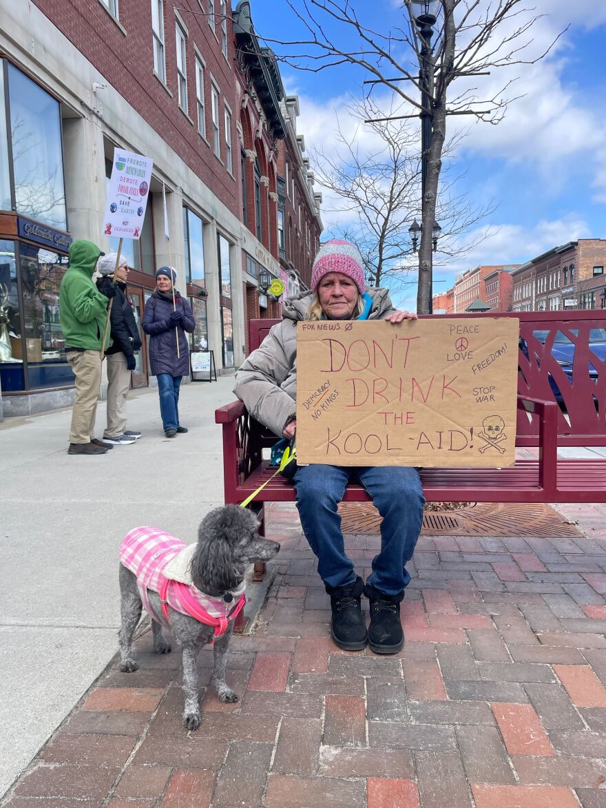 Janet Douglas, 69, attended her first No Kings rally in Concord with her dog Greta.