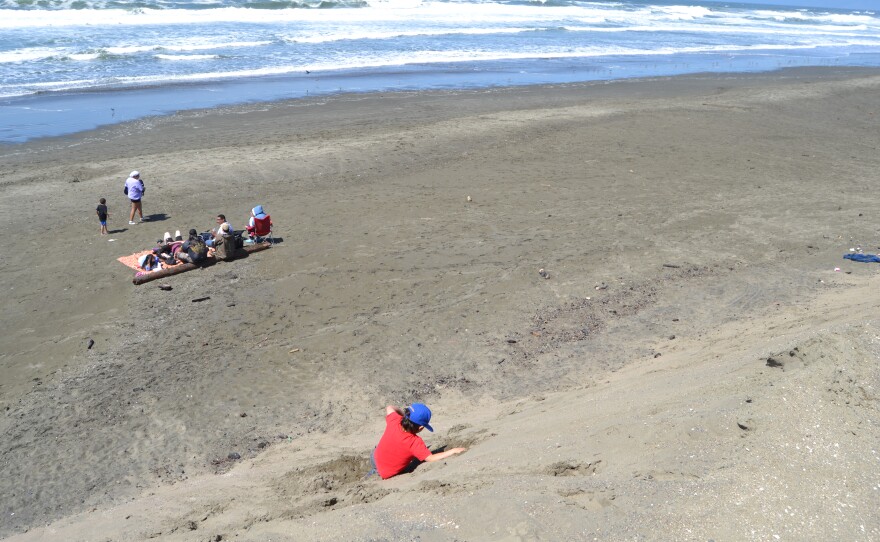 A child plays on an engineered dune at Ocean Beach