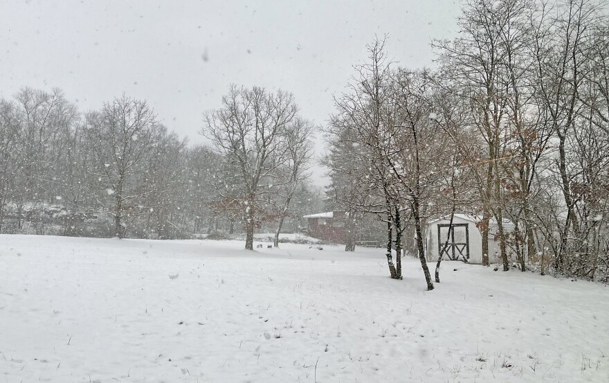 Falling snow coats the grass outside WVIA's studios in Jenkins Twp. Wednesday afternoon, Dec. 10, 2025.