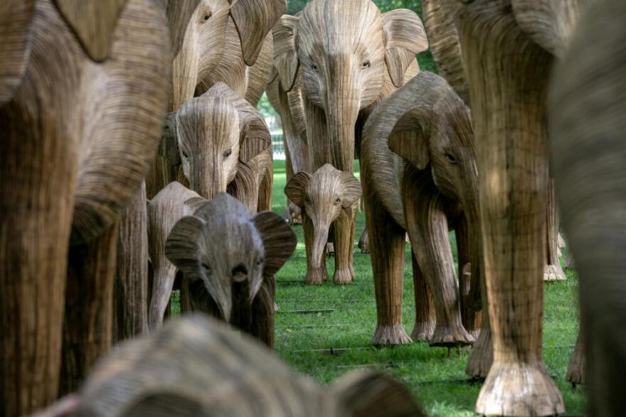 Sculptures of young and mature elephants made from the invasive plant Lantana camara, form a large art installation on Commonwealth Avenue Mall in Boston. (Robin Lubbock/WBUR)