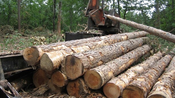Logging already occurs in national forests, including in the Ouachita National Forest.