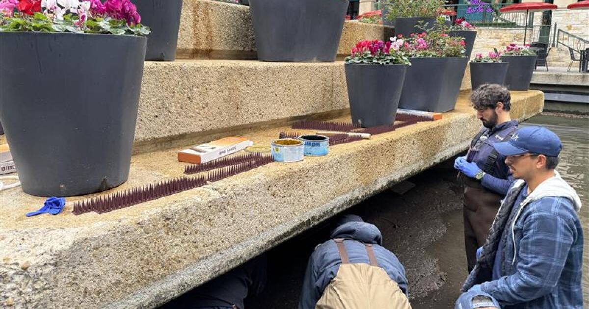 Tourists can enjoy San Antonio River Walk again after maintenance