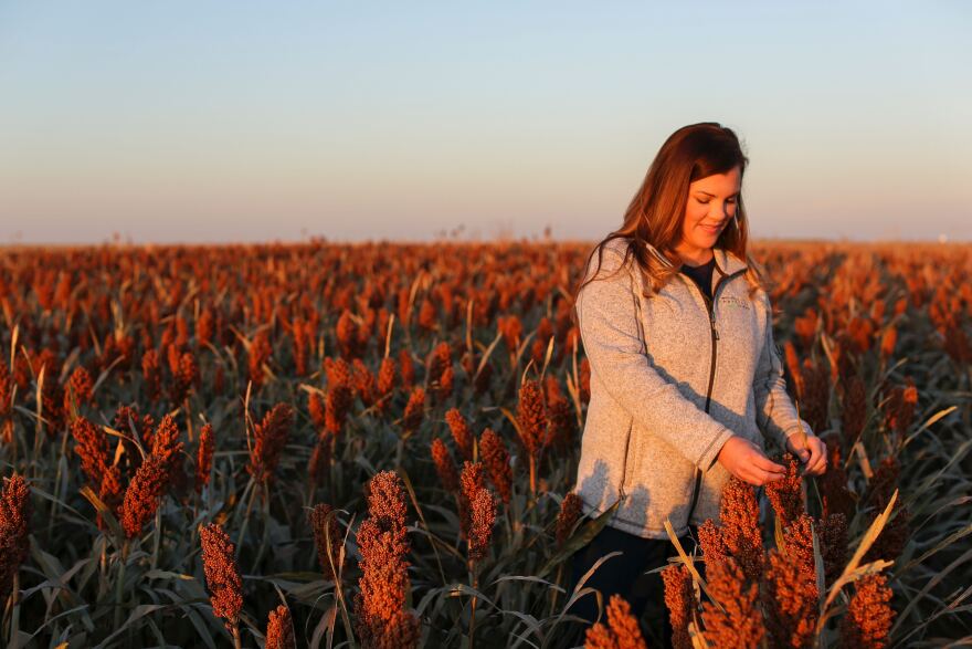 Woman standing in a sorghum field. 