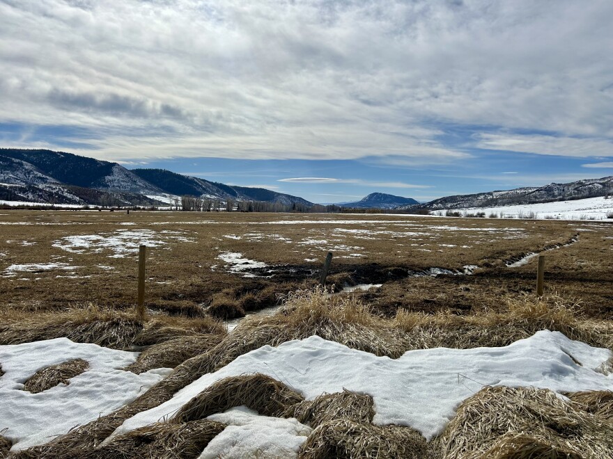 Meadows in north Routt County, Colorado, were bare in spots on Feb. 9 after a slow start to this winter's snowpack.