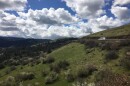 A highway in Idaho County, surrounded by Forest Service land.