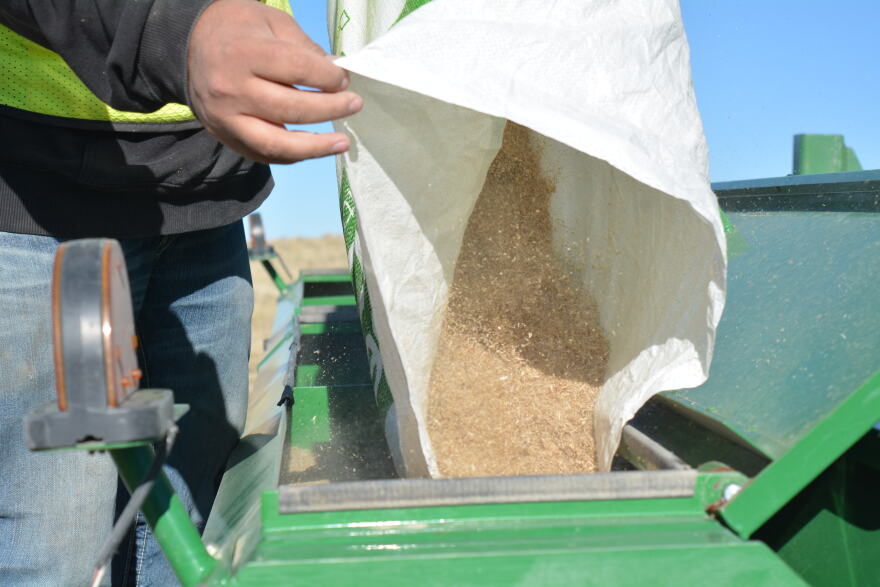 A man pours a seed mix into a green tractor drill.