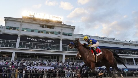 Jockey atop a race horse