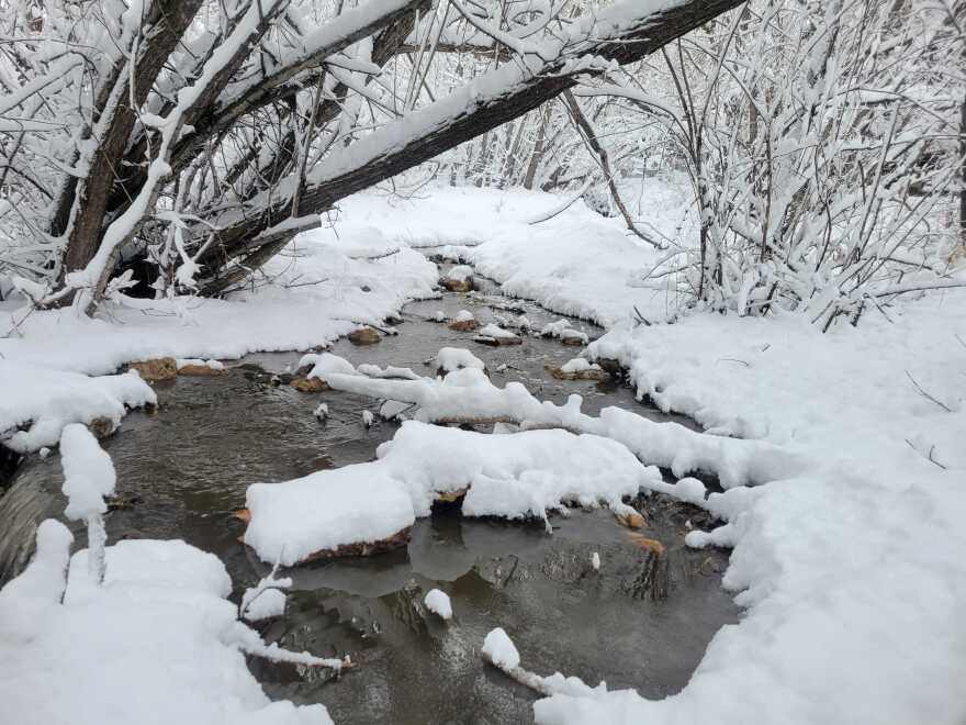 New snow on Poison Creek in Park City on Tuesday, April 1, 2025.