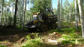 Keith Perkins of Perkins Natural Resources uses a Ponsse forwarder to pull dead and downed logs off the forest floor of the San Francisco Peaks, August 4, 2026.
