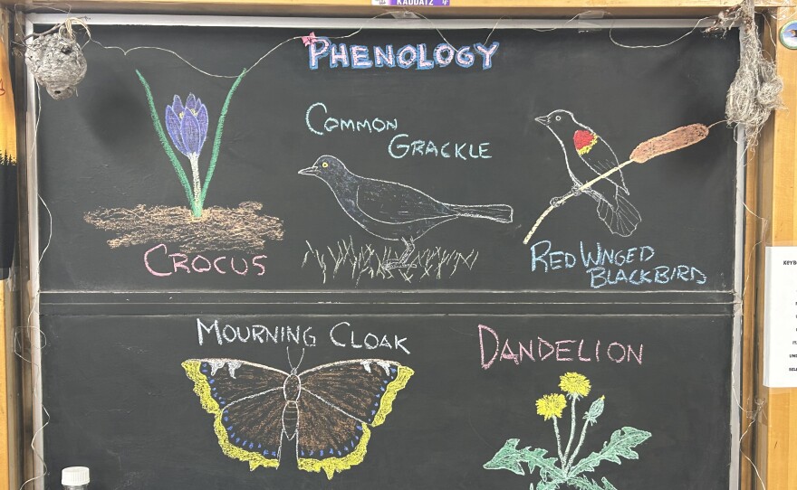 Illustrations are of a mourning cloak butterfly, a dandelion, a Red-winged Blackbird, a grackle, and a crocus flower. 