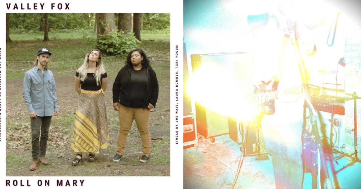 Milwaukee Music Roundup: Valley Fox, Shorelining, Old Pup, The Quilz